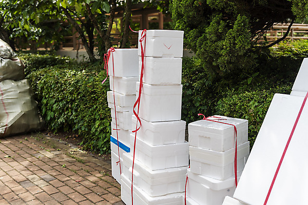 포토 JPG 주간 사람없음 야외 재활용 쓰레기 분리수거 자원 스티로폼 스티로폼박스 회복 분리수거장 국내포토 자연요소 컨셉 상자 친환경 쓰레기장 파일형식