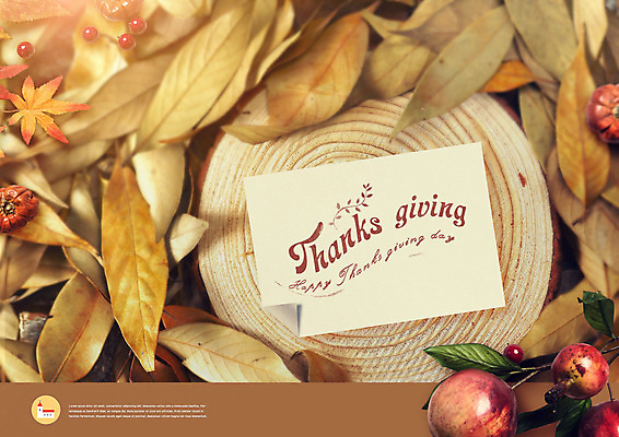 PSD 나무 편집이미지 열매 기독교 단풍 낙엽 호박 나뭇잎 사람없음 가을 편지지 나이테 나무밑둥 추수감사절 이미지편집 식물 계절 종교 잎 채소 편지 파일형식