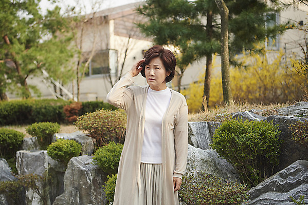 포토 JPG 주간 공원 여자 길 중년 50대 한명 서기 상반신 야외 앞모습 한국인 질병 잃음 기억력 치매 힘듦 노화 중년여자한명만 국내포토 자연요소 1 공공시설 뷰포인트 컨셉 의학 모션 사람 동양인 성인 여자한명만 중년여자만 파일형식