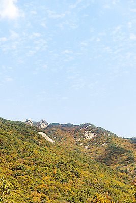 포토 JPG 주간 구름 단풍 낙엽 자연 하늘 단풍나무 산 풍경 사람없음 야외 가을 돌_바위 바위 북한산 둘레길 국내포토 자연요소 나무 계절 길 잎 생태계 파일형식 고양