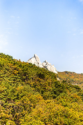 포토 JPG 주간 구름 단풍 낙엽 자연 하늘 단풍나무 산 풍경 사람없음 야외 가을 돌_바위 바위 북한산 둘레길 국내포토 자연요소 나무 계절 길 잎 생태계 파일형식 고양