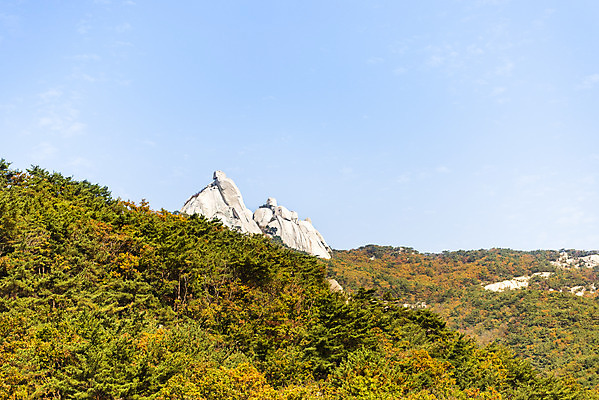포토 JPG 주간 구름 단풍 낙엽 자연 하늘 단풍나무 산 풍경 사람없음 야외 가을 돌_바위 바위 북한산 둘레길 국내포토 자연요소 나무 계절 길 잎 생태계 파일형식 고양