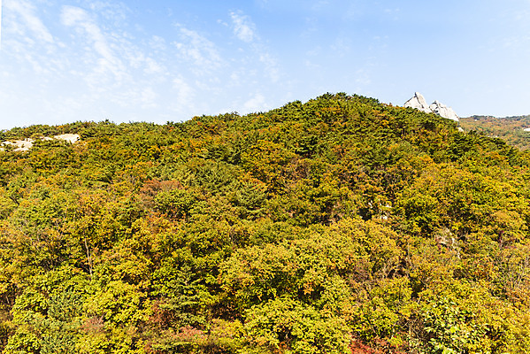 포토 JPG 주간 구름 단풍 낙엽 자연 하늘 단풍나무 산 풍경 사람없음 야외 가을 돌_바위 바위 북한산 둘레길 국내포토 자연요소 나무 계절 길 잎 생태계 파일형식 고양