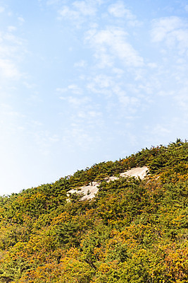 포토 JPG 주간 구름 단풍 낙엽 자연 하늘 단풍나무 산 풍경 사람없음 야외 가을 돌_바위 바위 북한산 둘레길 국내포토 자연요소 나무 계절 길 잎 생태계 파일형식 고양
