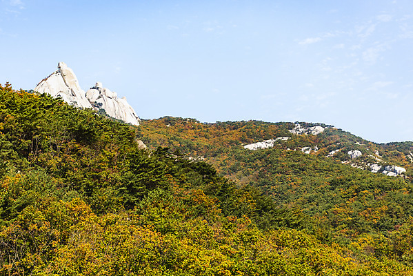 포토 JPG 주간 구름 단풍 낙엽 자연 하늘 단풍나무 산 풍경 사람없음 야외 가을 돌_바위 바위 북한산 둘레길 국내포토 자연요소 나무 계절 길 잎 생태계 파일형식 고양