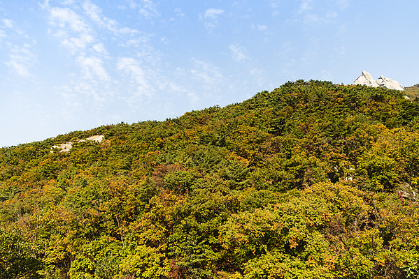 포토 JPG 주간 구름 단풍 낙엽 자연 하늘 단풍나무 산 풍경 사람없음 야외 가을 돌_바위 바위 북한산 둘레길 국내포토 자연요소 나무 계절 길 잎 생태계 파일형식 고양