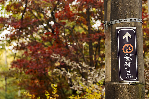 포토 JPG 주간 단풍 낙엽 자연 단풍나무 안내 풍경 사람없음 야외 가을 표지판 방향표지판 북한산 둘레길 국내포토 자연요소 나무 계절 길 잎 산 알림판 생태계 파일형식 고양