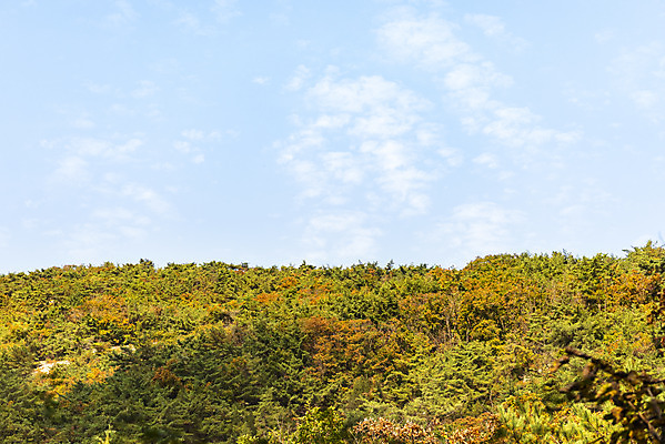 포토 JPG 주간 구름 단풍 낙엽 자연 하늘 단풍나무 산 풍경 사람없음 야외 가을 돌_바위 바위 북한산 둘레길 국내포토 자연요소 나무 계절 길 잎 생태계 파일형식 고양
