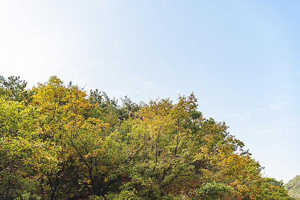 포토 JPG 주간 구름 단풍 낙엽 자연 하늘 단풍나무 산 풍경 사람없음 야외 가을 돌_바위 바위 북한산 둘레길 국내포토 자연요소 나무 계절 길 잎 생태계 파일형식 고양