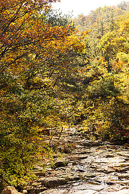 포토 JPG 주간 구름 단풍 낙엽 자연 하늘 단풍나무 산 풍경 사람없음 야외 가을 돌_바위 바위 북한산 둘레길 국내포토 자연요소 나무 계절 길 잎 생태계 파일형식 고양
