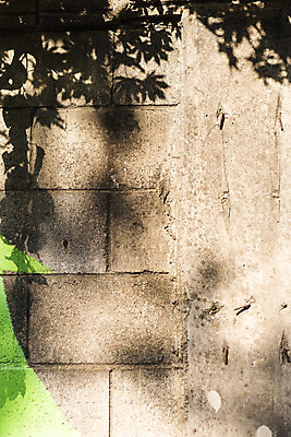 포토 JPG 주간 단풍 낙엽 잎 자연 나뭇잎 벽돌 그림자 풍경 사람없음 야외 담장 가을 북한산 둘레길 국내포토 자연요소 식물 계절 길 산 생태계 파일형식 고양