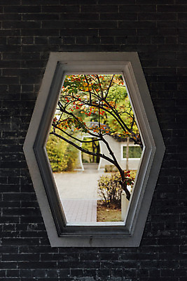 포토 JPG 주간 공원 액자 단풍 낙엽 창문 자연 단풍나무 풍경 사람없음 야외 가을 수원 월화원 국내포토 자연요소 나무 계절 공공시설 잎 정원 생태계 경기도 파일형식