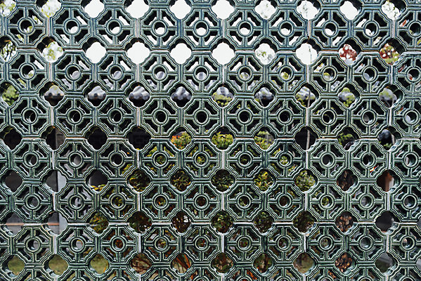 포토 JPG 주간 문양 공원 자연 풍경 근접촬영 사람없음 야외 울타리 가을 수원 월화원 국내포토 자연요소 계절 공공시설 뷰포인트 담장 정원 생태계 경기도 파일형식