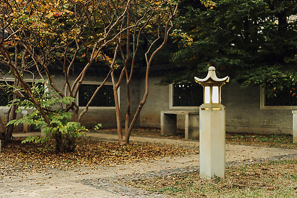 포토 JPG 주간 공원 단풍 낙엽 자연 단풍나무 전등 풍경 사람없음 야외 빛 가을 수원 월화원 국내포토 자연요소 나무 계절 공공시설 잎 조명 정원 생태계 경기도 파일형식