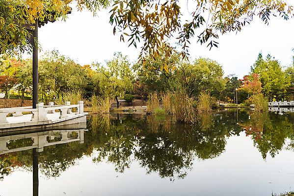 포토 JPG 주간 나무 공원 호수 단풍 낙엽 자연 단풍나무 풍경 사람없음 야외 반사 가을 수원 월화원 국내포토 자연요소 식물 계절 공공시설 잎 정원 생태계 경기도 파일형식
