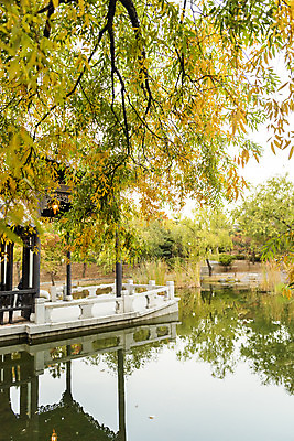 포토 JPG 주간 나무 공원 호수 단풍 낙엽 자연 단풍나무 풍경 사람없음 야외 반사 가을 수원 월화원 국내포토 자연요소 식물 계절 공공시설 잎 정원 생태계 경기도 파일형식