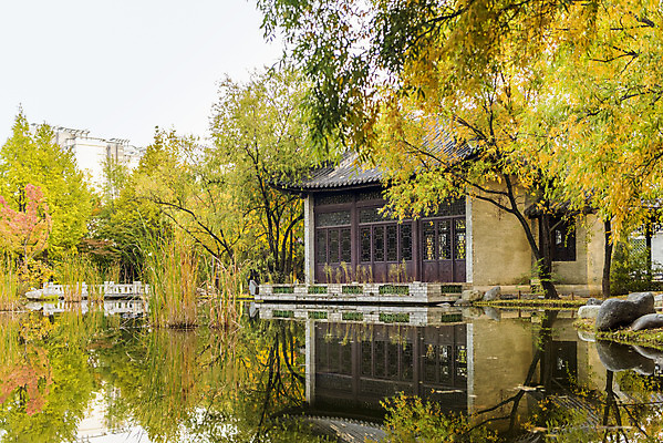 포토 JPG 주간 나무 공원 호수 단풍 낙엽 자연 단풍나무 풍경 사람없음 야외 반사 가을 수원 월화원 국내포토 자연요소 식물 계절 공공시설 잎 정원 생태계 경기도 파일형식