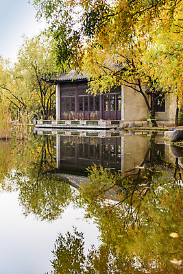 포토 JPG 주간 나무 공원 호수 단풍 낙엽 자연 단풍나무 풍경 사람없음 야외 반사 가을 수원 월화원 국내포토 자연요소 식물 계절 공공시설 잎 정원 생태계 경기도 파일형식