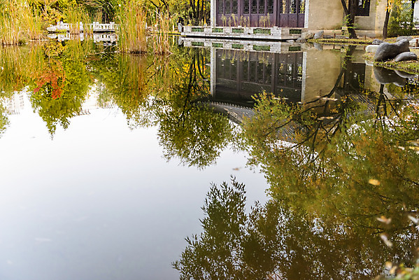 포토 JPG 주간 공원 호수 단풍 낙엽 자연 단풍나무 풍경 사람없음 야외 반사 가을 수원 월화원 국내포토 자연요소 나무 계절 공공시설 잎 정원 생태계 경기도 파일형식
