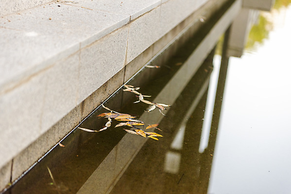 포토 JPG 주간 공원 호수 단풍 낙엽 자연 단풍나무 나뭇잎 풍경 사람없음 야외 가을 수원 월화원 국내포토 자연요소 나무 계절 공공시설 잎 정원 생태계 경기도 파일형식