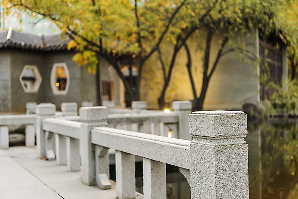 포토 JPG 주간 나무 공원 단풍 낙엽 자연 단풍나무 풍경 사람없음 야외 가을 수원 가교 월화원 국내포토 자연요소 식물 건축물 계절 공공시설 잎 정원 생태계 경기도 파일형식