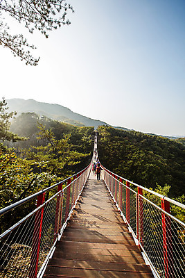 포토 JPG 주간 여행 단풍 자연 산 한국 풍경 여러명 야외 관광지 여행객 가을 경기도 국내여행 출렁다리 파주 감악산 국내포토 자연요소 계절 아시아 다수 잎 사람 다리_건축물 생태계 파일형식
