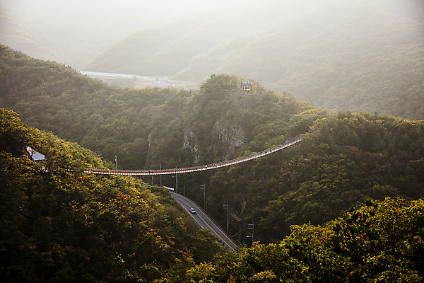포토 JPG 주간 여행 단풍 자연 산 한국 풍경 사람없음 야외 관광지 가을 경기도 국내여행 출렁다리 파주 감악산 국내포토 자연요소 계절 아시아 잎 다리_건축물 생태계 파일형식