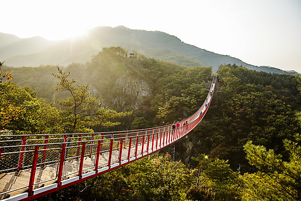 포토 JPG 주간 여행 단풍 자연 산 한국 풍경 여러명 야외 관광지 햇빛 여행객 가을 경기도 국내여행 출렁다리 파주 감악산 국내포토 자연요소 계절 아시아 다수 잎 사람 태양 다리_건축물 생태계 파일형식