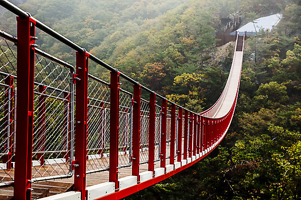 포토 JPG 주간 여행 단풍 자연 산 한국 풍경 사람없음 야외 관광지 가을 경기도 국내여행 출렁다리 파주 감악산 국내포토 자연요소 계절 아시아 잎 다리_건축물 생태계 파일형식