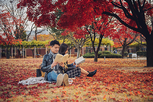 포토 JPG 주간 전신 커플 여자 남자 단풍 낙엽 데이트 앉기 20대 성인 야외 앞모습 옆모습 책 독서 다정 등맞대기 가을 도서관 가죽자켓 성인만 국내포토 자연요소 계절 교육 뷰포인트 컨셉 잎 관계 모션 사람 청년 재킷 파일형식
