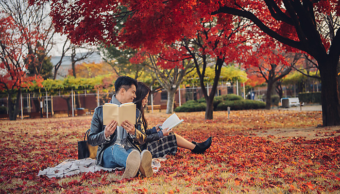 포토 JPG 주간 전신 커플 여자 남자 단풍 낙엽 데이트 앉기 20대 성인 야외 앞모습 옆모습 책 독서 다정 등맞대기 가을 도서관 가죽자켓 성인만 국내포토 자연요소 계절 교육 뷰포인트 컨셉 잎 관계 모션 사람 청년 재킷 파일형식