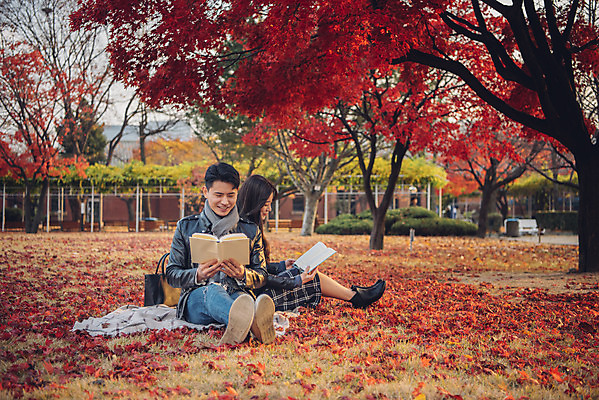 포토 JPG 주간 전신 커플 여자 남자 단풍 낙엽 데이트 앉기 20대 성인 야외 앞모습 옆모습 책 독서 다정 등맞대기 가을 도서관 가죽자켓 성인만 국내포토 자연요소 계절 교육 뷰포인트 컨셉 잎 관계 모션 사람 청년 재킷 파일형식