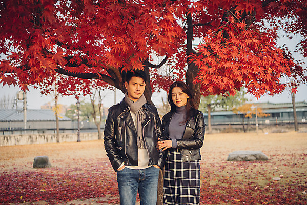 포토 JPG 주간 커플 여자 남자 단풍 낙엽 데이트 서기 상반신 20대 성인 야외 앞모습 독서 다정 가을 도서관 가죽자켓 성인만 국내포토 자연요소 계절 교육 뷰포인트 컨셉 잎 관계 모션 사람 청년 재킷 파일형식