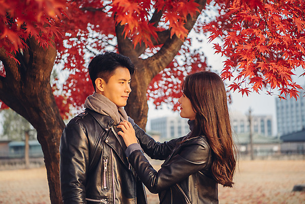 포토 JPG 주간 커플 여자 남자 단풍 낙엽 데이트 서기 상반신 20대 성인 야외 옆모습 독서 목도리 다정 가을 도서관 가죽자켓 성인만 국내포토 자연요소 잡화 계절 교육 뷰포인트 컨셉 잎 관계 모션 사람 청년 재킷 파일형식