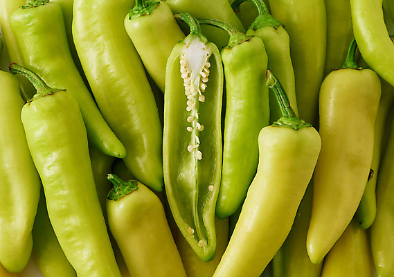 포토 JPG 스튜디오촬영 채소 식재료 고추 실내 근접촬영 사람없음 초록색 신선 유기농 당조고추 국내포토 웰빙 뷰포인트 컬러 내부 파일형식