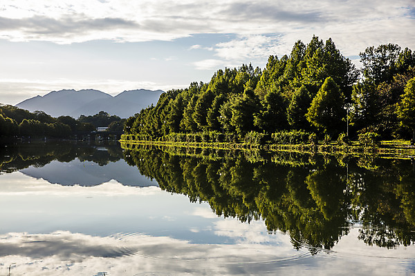 포토 JPG 주간 나무 여행 자연 한국 풍경 사람없음 야외 관광지 반사 산책로 전라남도 고목 국내여행 담양 영산강 관방제림 국내포토 자연요소 식물 아시아 길 유적지 전라도 생태계 간 단양 파일형식