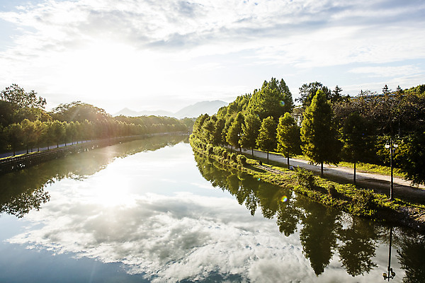 포토 JPG 주간 나무 여행 자연 한국 풍경 사람없음 야외 관광지 햇빛 반사 산책로 전라남도 고목 국내여행 담양 영산강 관방제림 국내포토 자연요소 식물 아시아 길 유적지 태양 전라도 생태계 간 단양 파일형식