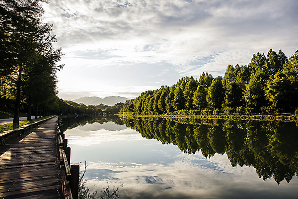 포토 JPG 주간 나무 여행 자연 한국 풍경 사람없음 야외 관광지 반사 산책로 전라남도 고목 국내여행 담양 영산강 관방제림 국내포토 자연요소 식물 아시아 길 유적지 전라도 생태계 간 단양 파일형식