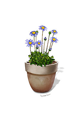 PSD 식물 꽃 화분 일러스트 사람없음 보라색 조약돌 원예 데이지 디테일 국내일러스트 컬러 취미 돌_바위 파일형식