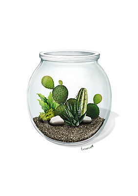 PSD 식물 화분 일러스트 유리병 선인장 이끼 사람없음 회색 돌_바위 조약돌 원예 다육식물 디테일 테라리움 국내일러스트 컬러 병_용기 취미 파일형식