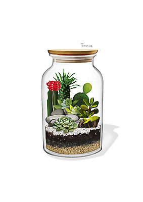 PSD 식물 화분 일러스트 유리병 선인장 이끼 사람없음 회색 돌_바위 조약돌 원예 다육식물 디테일 테라리움 국내일러스트 컬러 병_용기 취미 파일형식