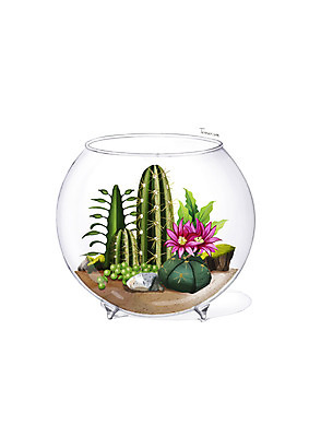 PSD 식물 화분 일러스트 유리병 선인장 이끼 사람없음 회색 돌_바위 조약돌 원예 다육식물 디테일 테라리움 국내일러스트 컬러 병_용기 취미 파일형식