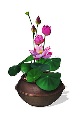 PSD 식물 꽃 화분 분홍색 일러스트 연꽃 사람없음 조약돌 원예 디테일 국내일러스트 컬러 취미 돌_바위 파일형식