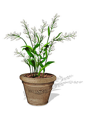 PSD 식물 꽃 화분 일러스트 사람없음 조약돌 흰색 원예 디테일 은난초 국내일러스트 컬러 취미 돌_바위 파일형식