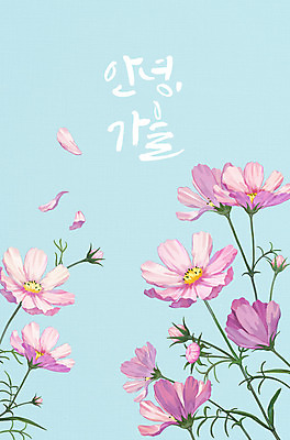 PSD 식물 계절 꽃 하늘색 일러스트 글자캘리그라피 사람없음 가을 코스모스 국내일러스트 캘리그라피 파란색 파일형식