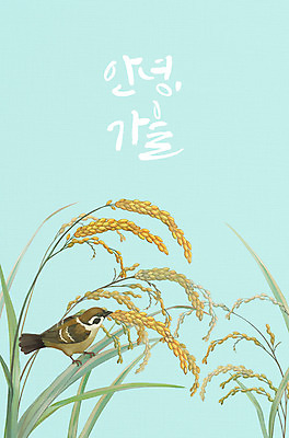 PSD 식물 한마리 계절 일러스트 곡류 글자캘리그라피 사람없음 농사 벼 가을 참새 민트색 풍년 국내일러스트 1 컬러 농업 캘리그라피 조류 수확 파일형식