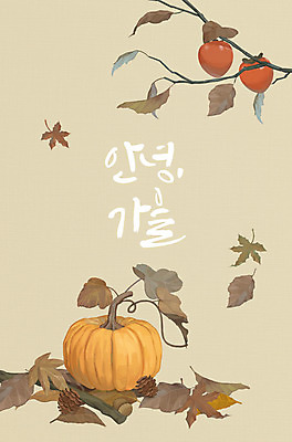 PSD 나무 식물 계절 단풍 낙엽 일러스트 호박 감 글자캘리그라피 사람없음 갈색 가을 감나무 솔방울 홍시 국내일러스트 컬러 잎 채소 과일 캘리그라피 파일형식