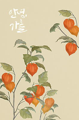 PSD 식물 계절 일러스트 글자캘리그라피 사람없음 갈색 가을 꽈리 국내일러스트 컬러 캘리그라피 파일형식