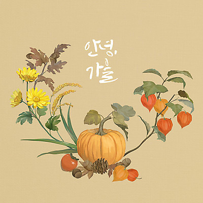 PSD 나무 식물 계절 단풍 낙엽 일러스트 호박 국화 글자캘리그라피 사람없음 갈색 벼 가을 도토리 솔방울 추수감사절 홍시 꽈리 풍년 국내일러스트 꽃 기독교 컬러 잎 채소 캘리그라피 곡류 감 견과류 수확 파일형식