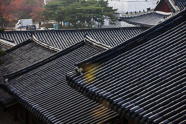 포토 JPG 주간 전통 여행 단풍 서울 풍경 근접촬영 사람없음 야외 가을풍경 궁전 문화재 가을 기와지붕 국내여행 경희궁 국내포토 자연요소 계절 뷰포인트 고건축 잎 지붕 한국 기와 파일형식 가을_계절